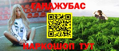 сатива Ликино-Дулёво