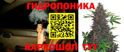 Альфа ПВП Ливны