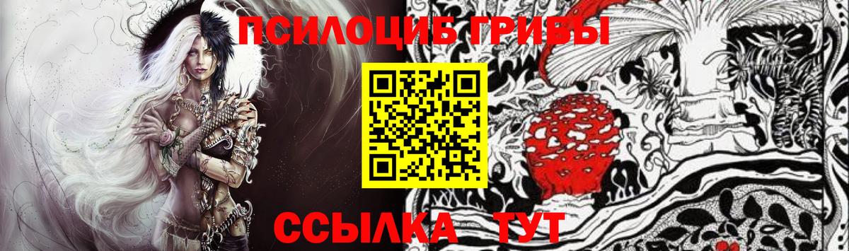 Псилоцибиновые грибы мухоморы Вязьма